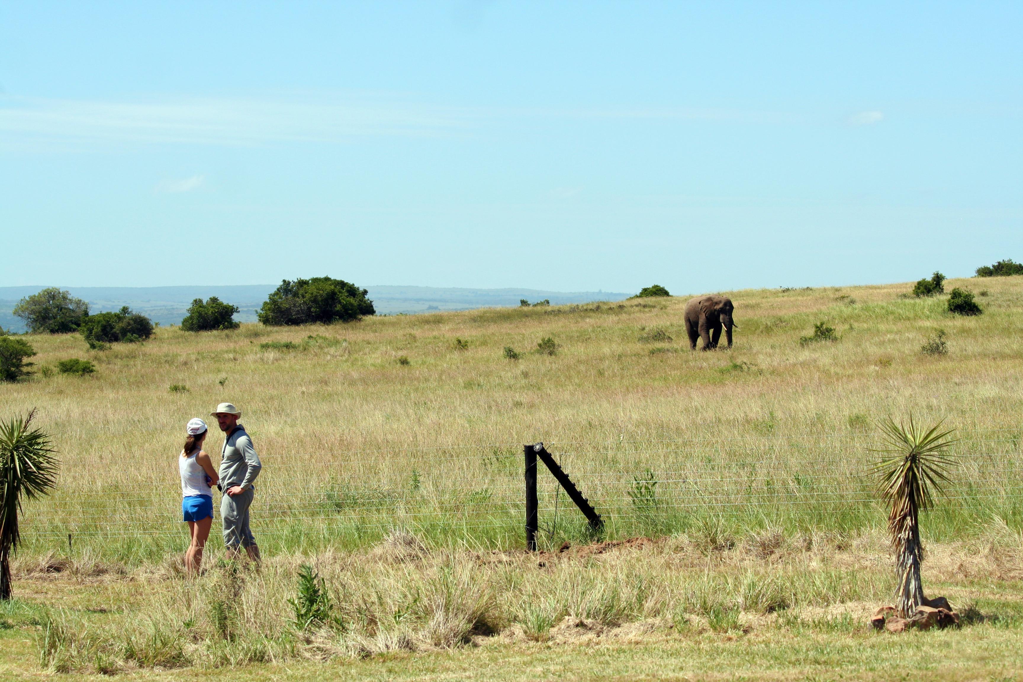 ฮโลซี เกม ลอดจ์ Villa Buyskloof ภายนอก รูปภาพ